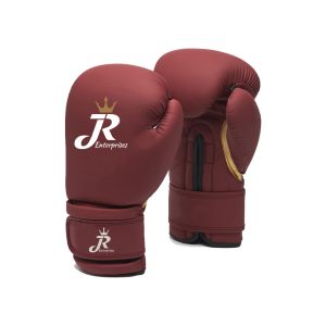 Professional Boxers & Trainers | MMA Gloves for Martial Arts|Light Weight & Shock Absorbent Boxing Gloves